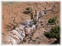 coulee vivante.jpg - Coulée blanche dans la montagne (région Midelt au Maroc)
